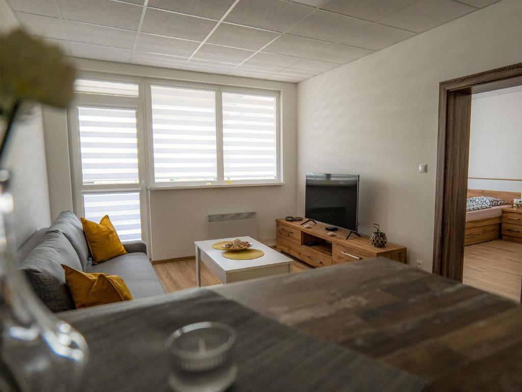TV a/nebo společenská místnost v ubytování Apartmany Motocentrum