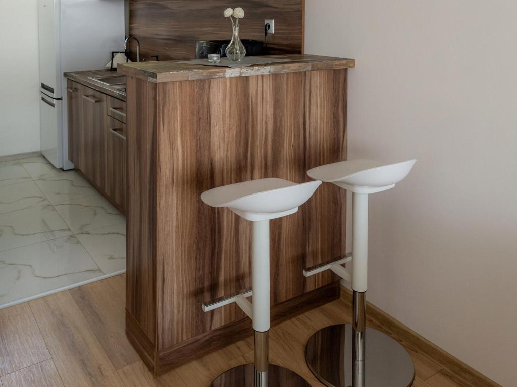Kuchyň nebo kuchyňský kout v ubytování Apartmany Motocentrum