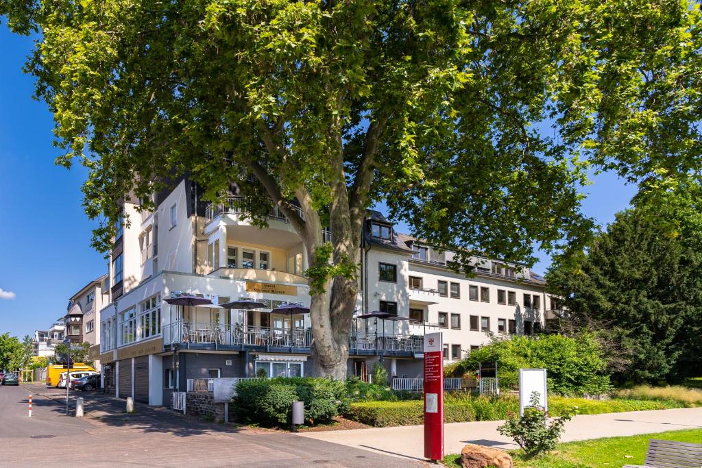 een groot wit gebouw met een boom ervoor bij Hotel Kleiner Riesen in Koblenz