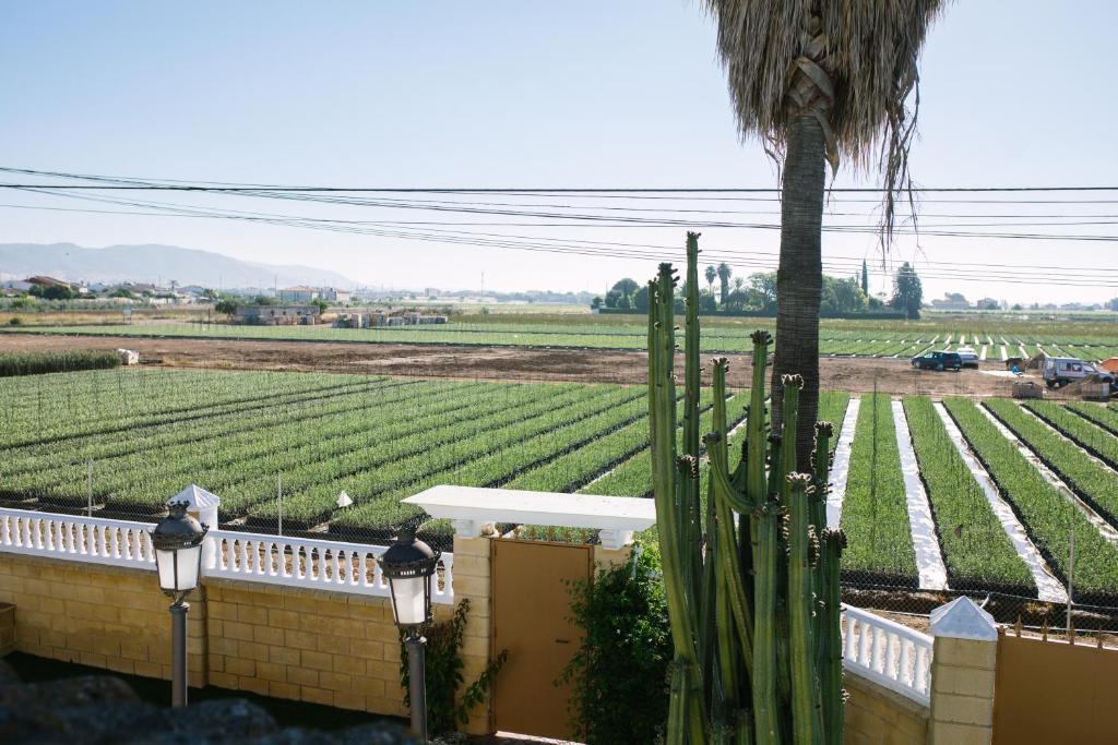 Vonkajšia záhrada v ubytovaní Casa Luxury "El Olivo de Córdoba" con jacuzzi y parking privado