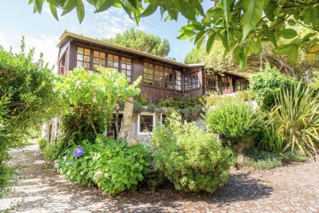 una vista exterior de una casa con plantas en cottage, en Abragão