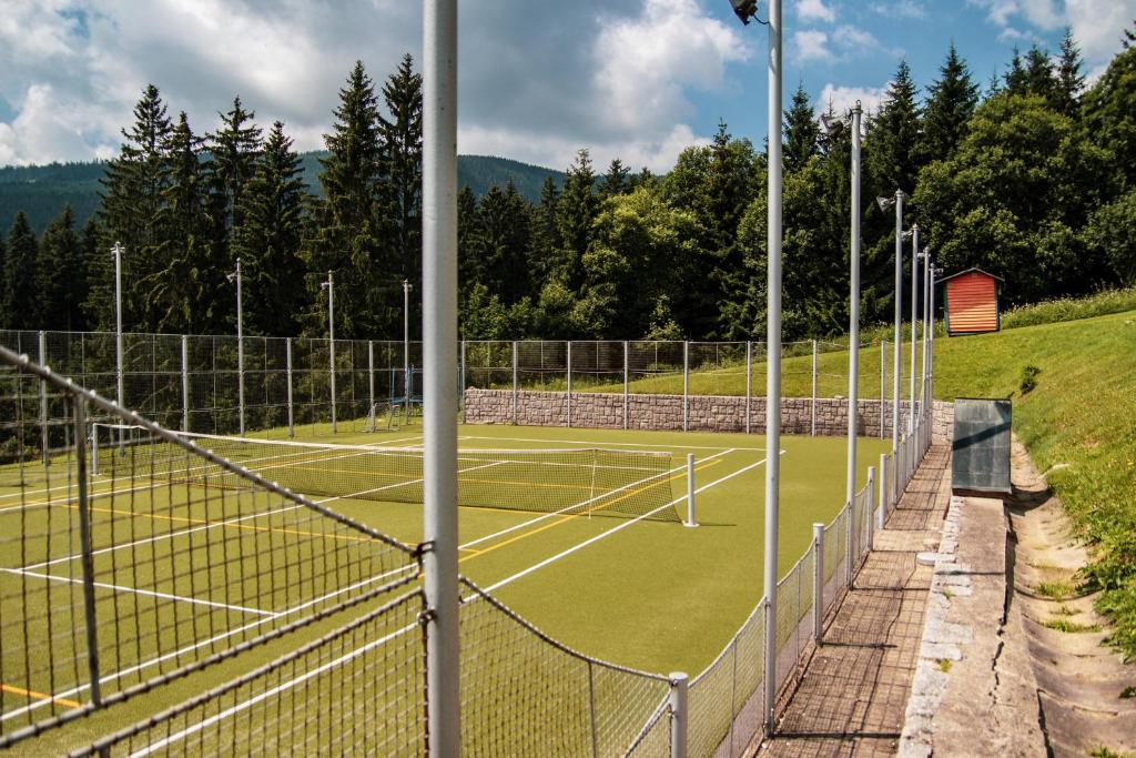 Tenis a/nebo squash v ubytování penzion Vysoká Stráž nebo okolí