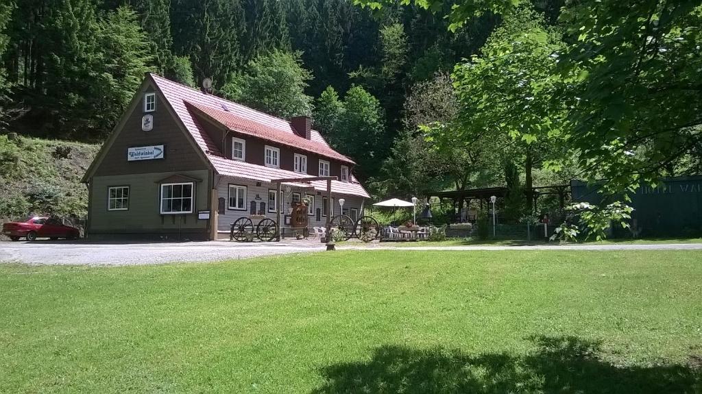 una casa con un prato verde davanti di Waldpension Harzer Waldwinkel a Bad Grund