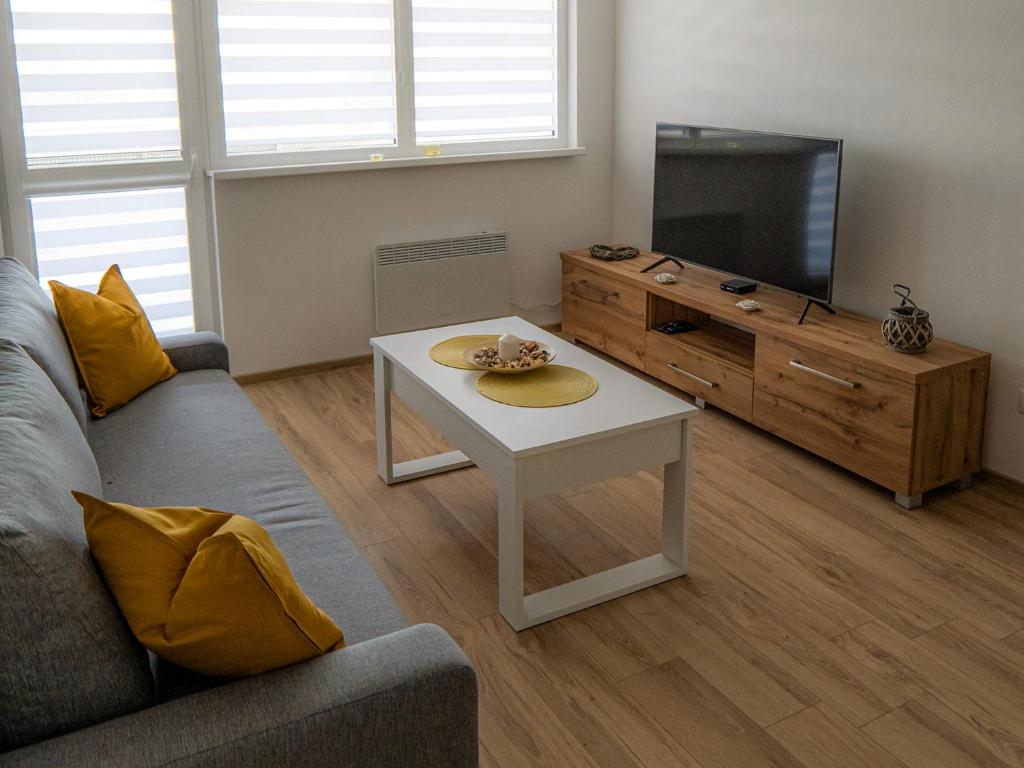TV a/nebo společenská místnost v ubytování Apartmany Motocentrum