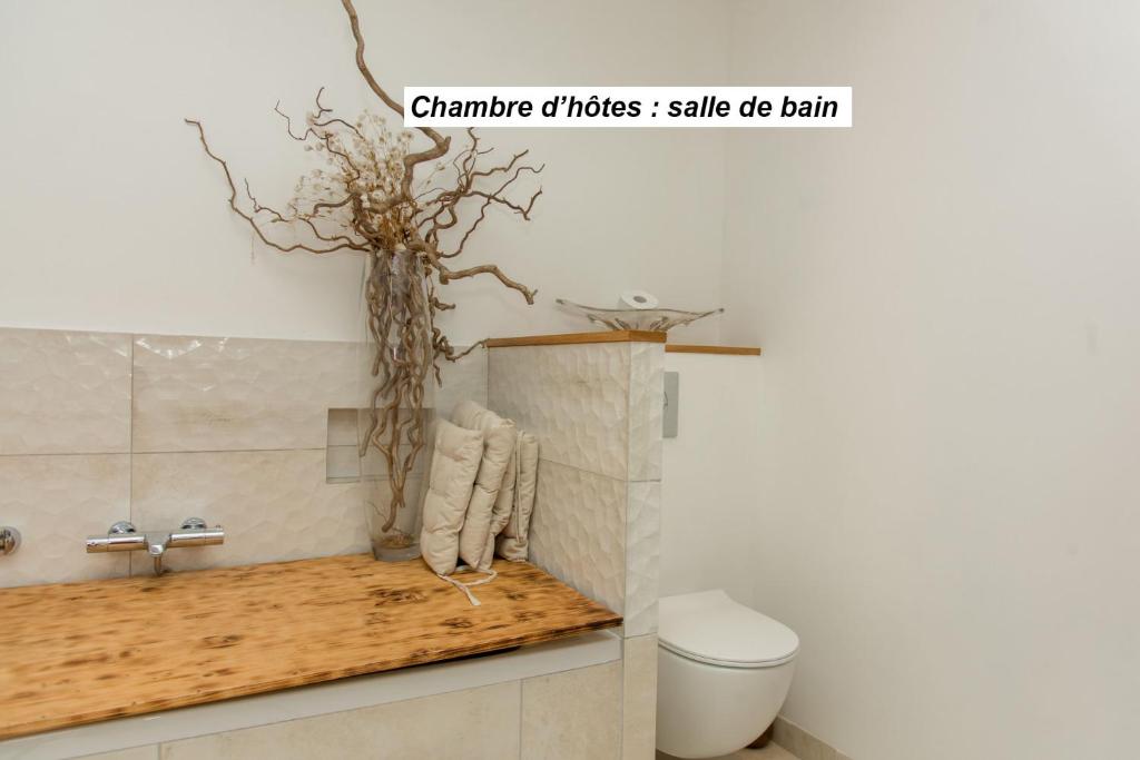 Fotografie z fotogalerie ubytování chambre d'hôte et gîte du jardin des corsaires v destinaci Saint Malo
