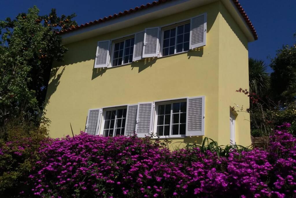 uma casa amarela com janelas brancas fechadas e flores roxas em casa das laranjeiras em Abragão