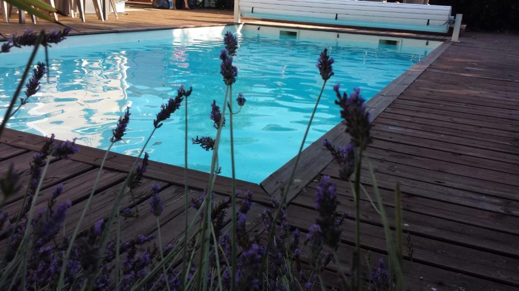 einen Pool neben einer Holzterrasse mit lila Blumen in der Unterkunft Ma Maison Familiale Portesienne in Portets