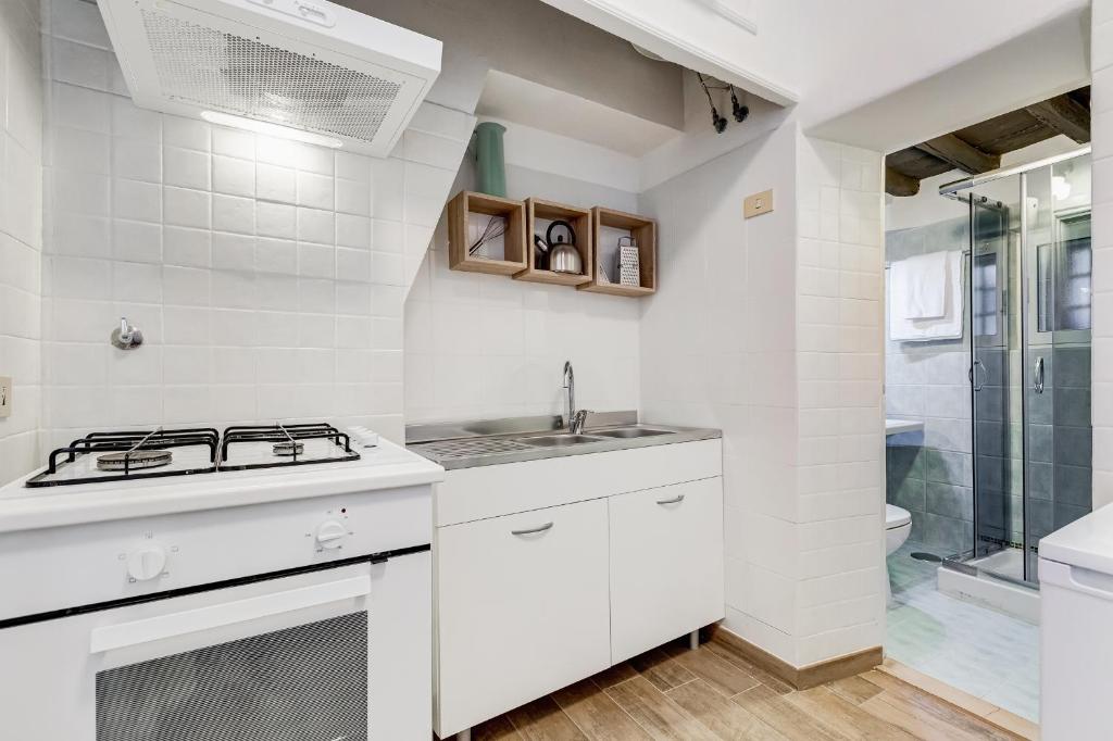 A kitchen or kitchenette at TREVI FOUNTAIN - RomeDreamHome