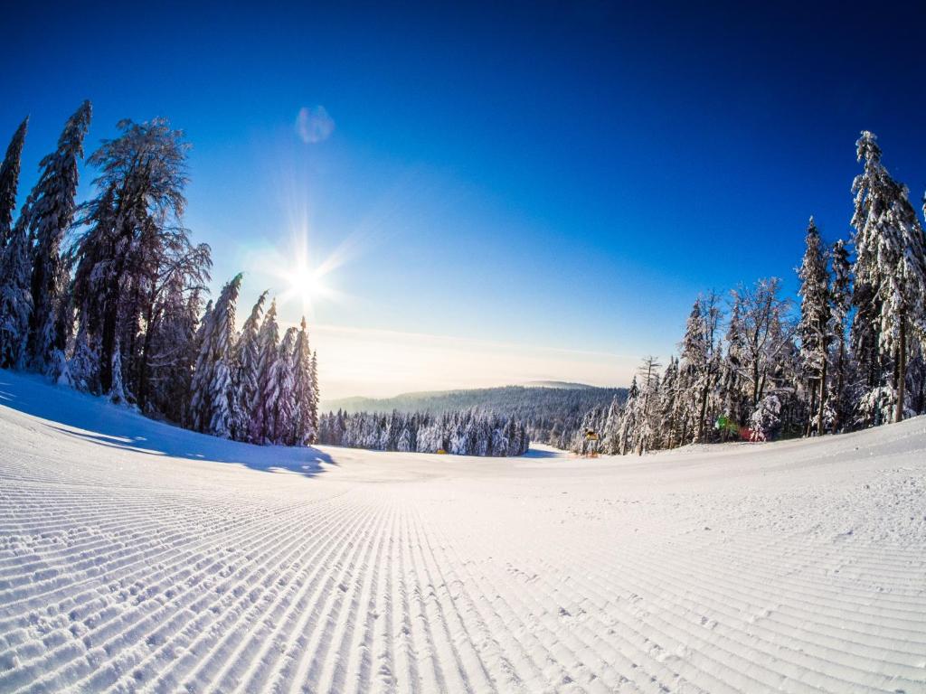 HP APARTMÁNY SKIAREÁL- Buková Hora v Orlických horách 100 m od lanovky durante l'inverno