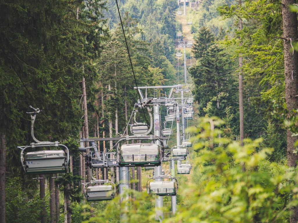 Paesaggio naturale nelle vicinanze dell'appartamento