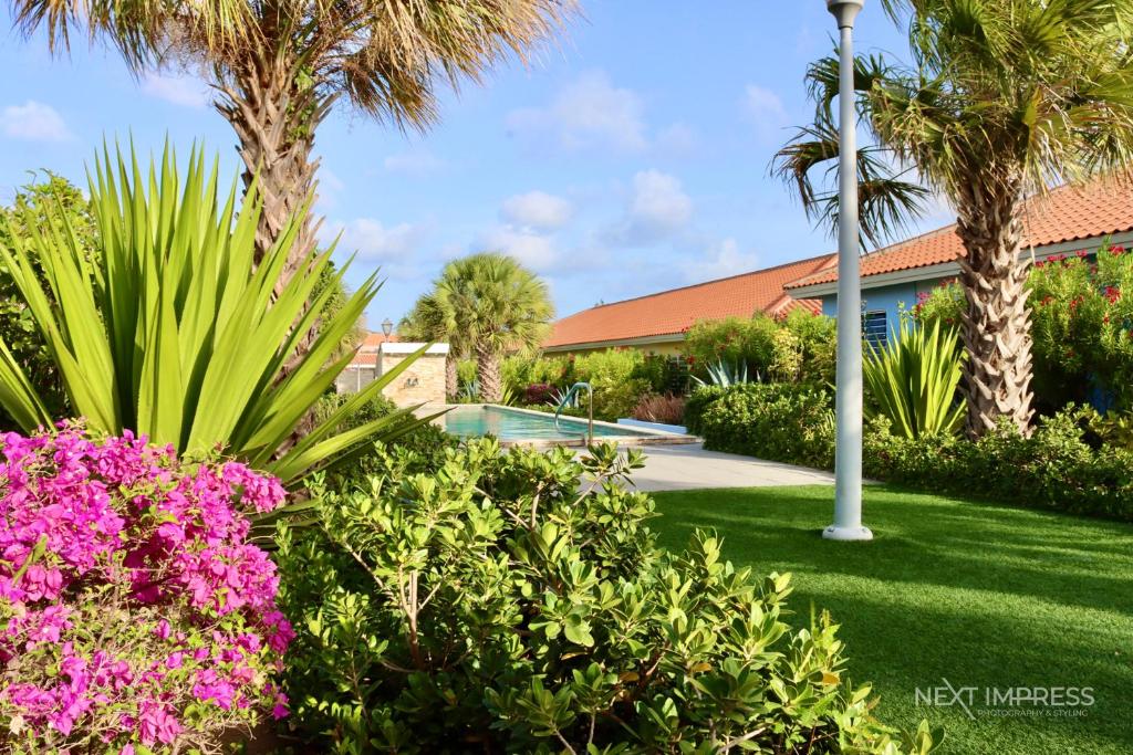 ein Garten mit Palmen und einem Swimmingpool in der Unterkunft Ultimate Caribbean Experience in Willemstad