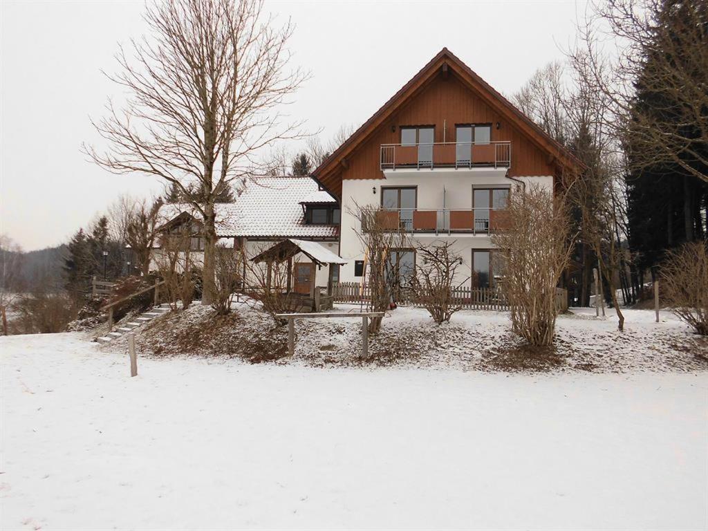 Gasthof Grüner Baum "Kongo" v zimě