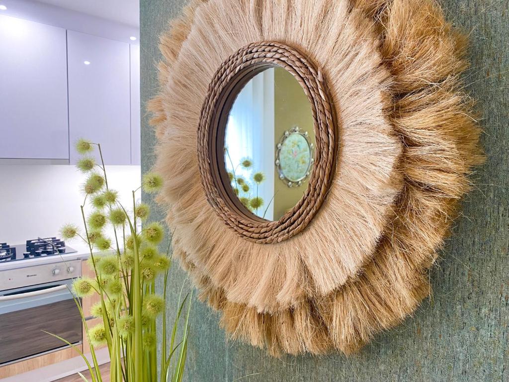 Alojamento Batata - 4