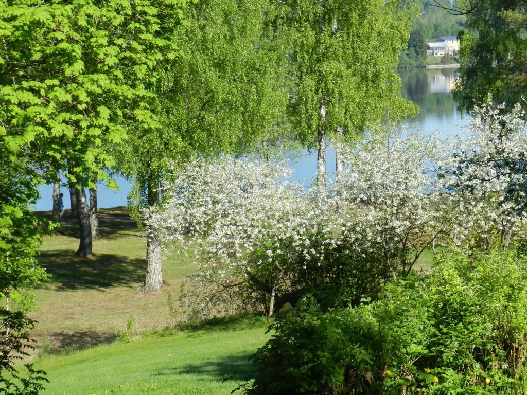 Příroda nedaleko bed and breakfast