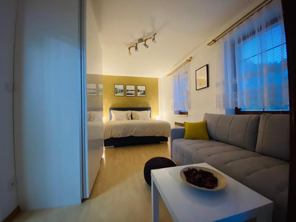 a living room with a couch and a bed at Flat 123 ubytování pod sjezdovkou - Adults only in Deštné v Orlických horách