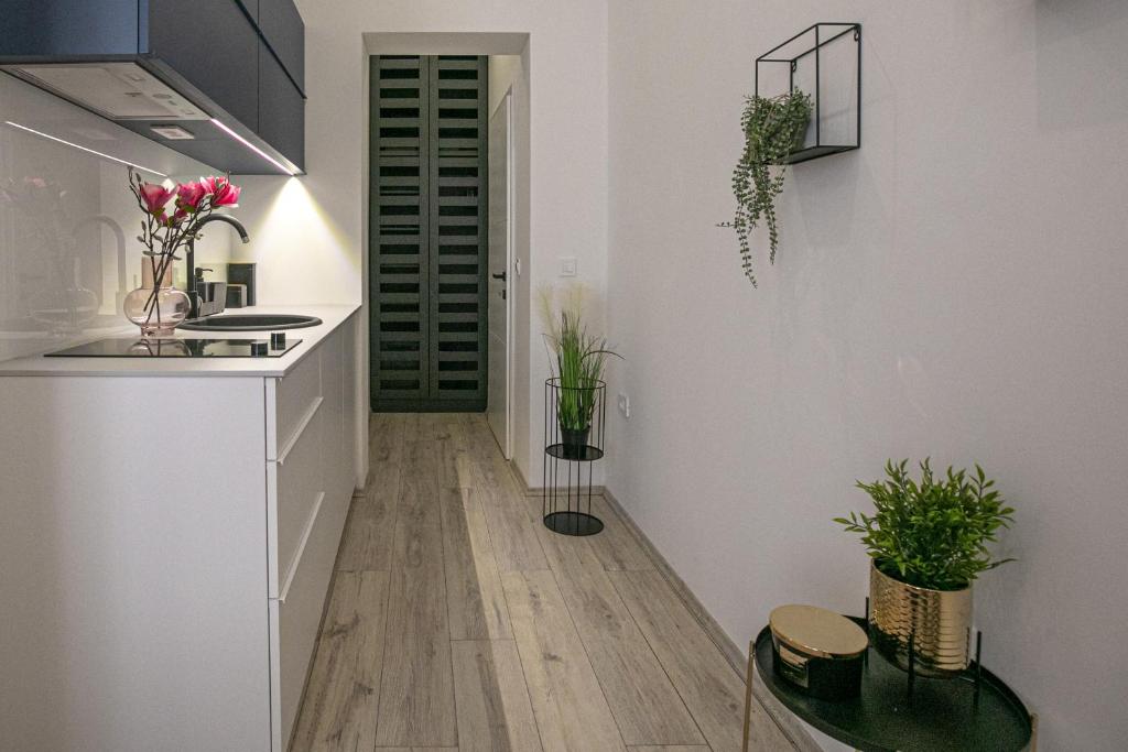 Studio Deluxe Antonio - 1