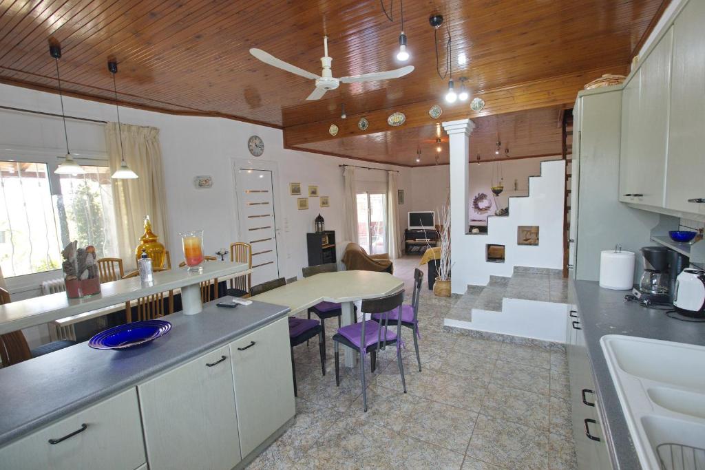 Kuchyň nebo kuchyňský kout v ubytování Villa Ioanna