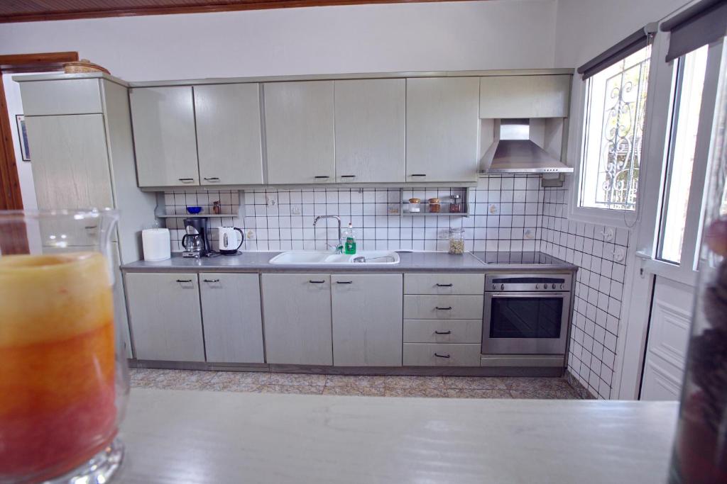 Kuchyň nebo kuchyňský kout v ubytování Villa Ioanna