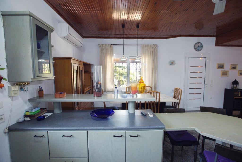 Kuchyň nebo kuchyňský kout v ubytování Villa Ioanna