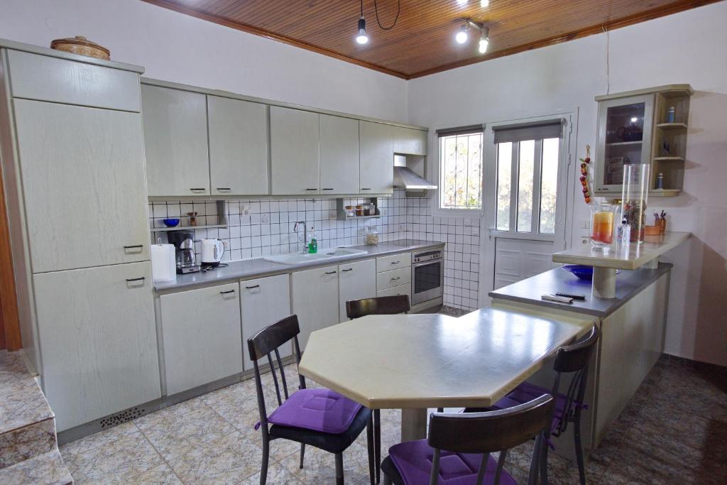 Kuchyň nebo kuchyňský kout v ubytování Villa Ioanna