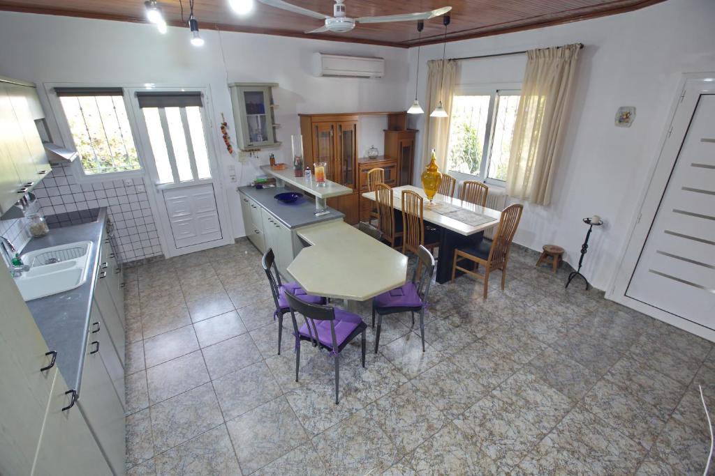 Kuchyň nebo kuchyňský kout v ubytování Villa Ioanna