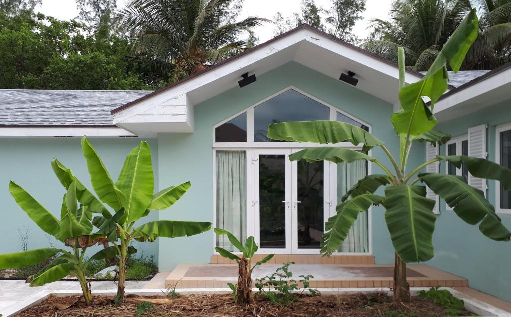 een huis met palmbomen ervoor bij Secluded and Modern Beachfront House in Nassau
