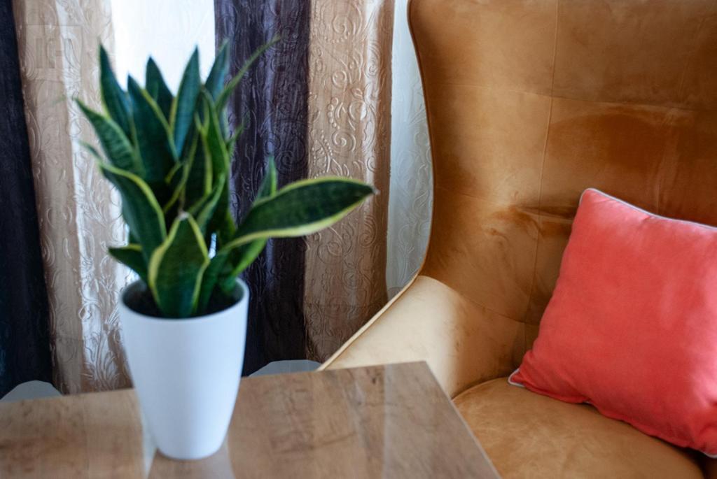 Posezení v ubytování Hotel Isha