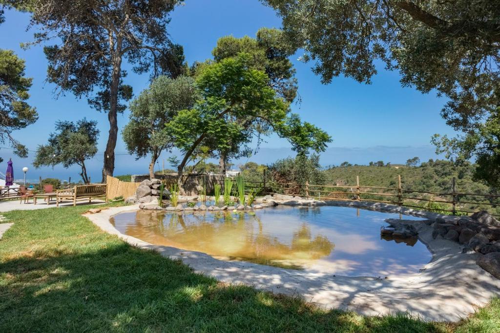 a pool of water in a yard with trees at Beit Oren Hotel in Beit Oren