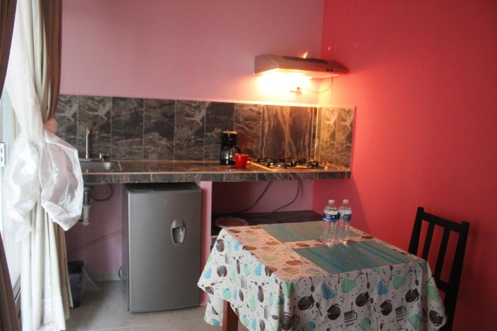 Kuchyň nebo kuchyňský kout v ubytování Hotel Boutique La Orquidea