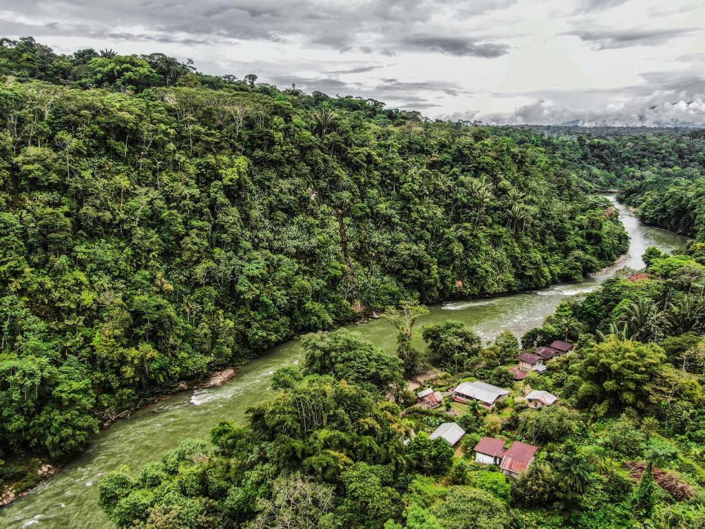 an aerial view of a river in a forest at PlayaSelva EcoLodge in Archidona