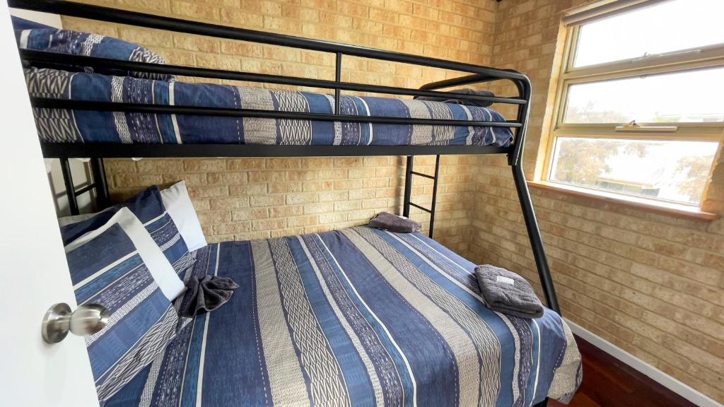 two bunk beds in a room with a window at Esperance Foreshore Apartments in Esperance