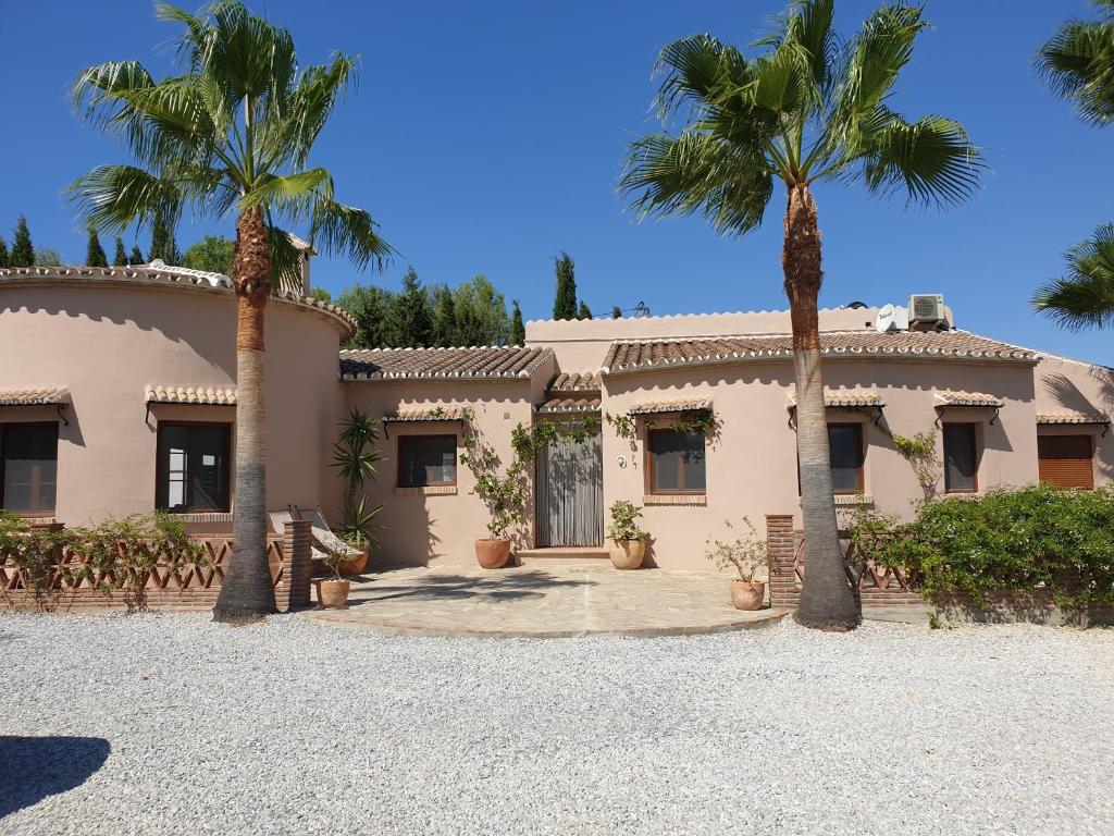 a house with two palm trees in front of it at Premium Bed & Breakfast Casa Alegría Andaluza in Los Romanes