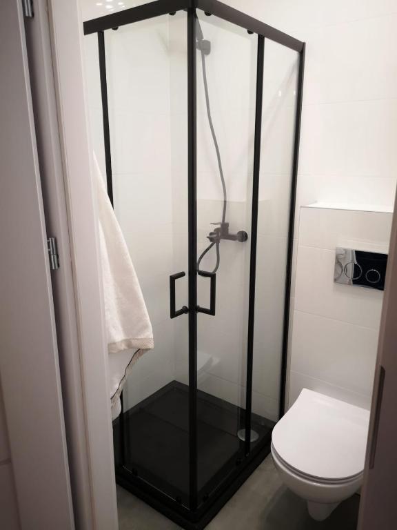 Kúpeľňa v ubytovaní Apartamenty LENA 2
