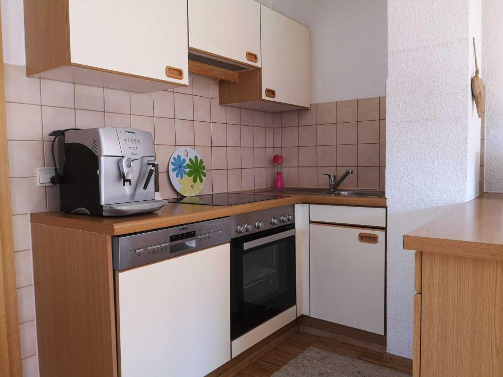 Kuchyň nebo kuchyňský kout v ubytování Appartements Duengler