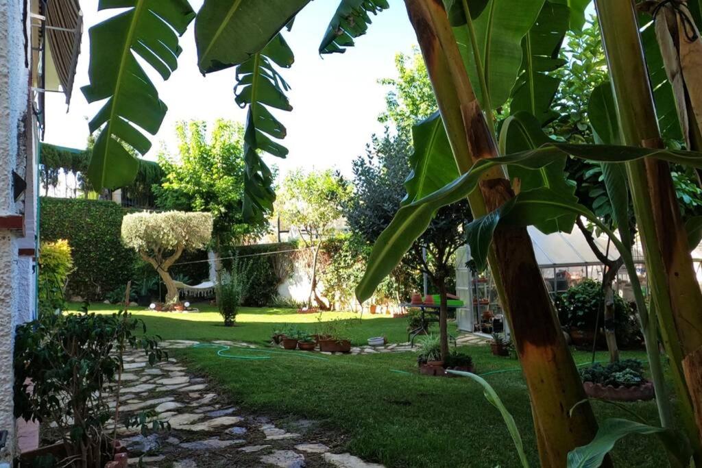 un jardín con césped verde y un camino en Casa Serramar - La Cala del Moral - Málaga, en Málaga