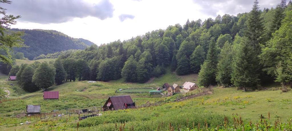 a group of barns on a hill with trees at Dulović - KATUN POTOCI in Kolašin