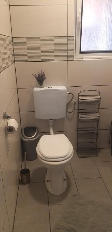 Koupelna v ubytování Apartma Matjaž