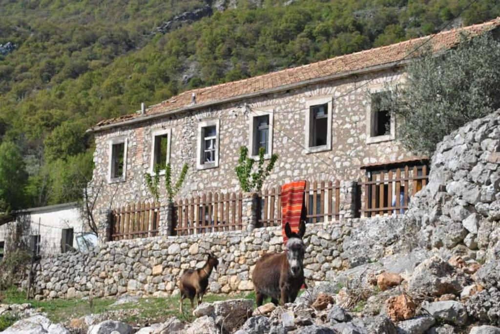 Etno house Velje Selo, Bar – Updated 2024 Prices