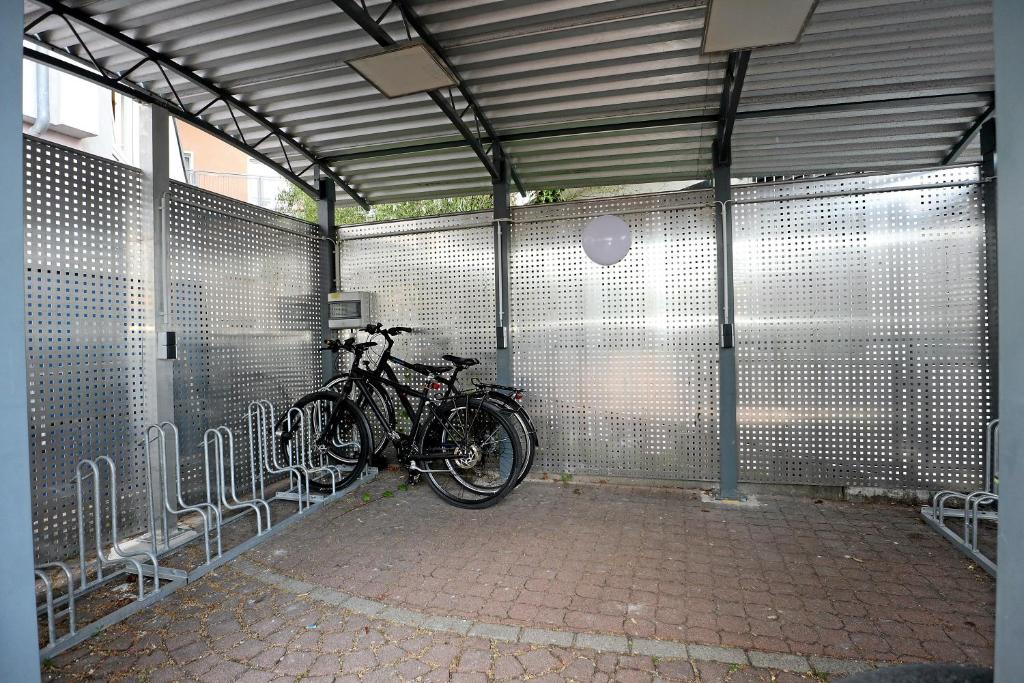 Jízda na kole v ubytování Hotel Danner nebo okolí