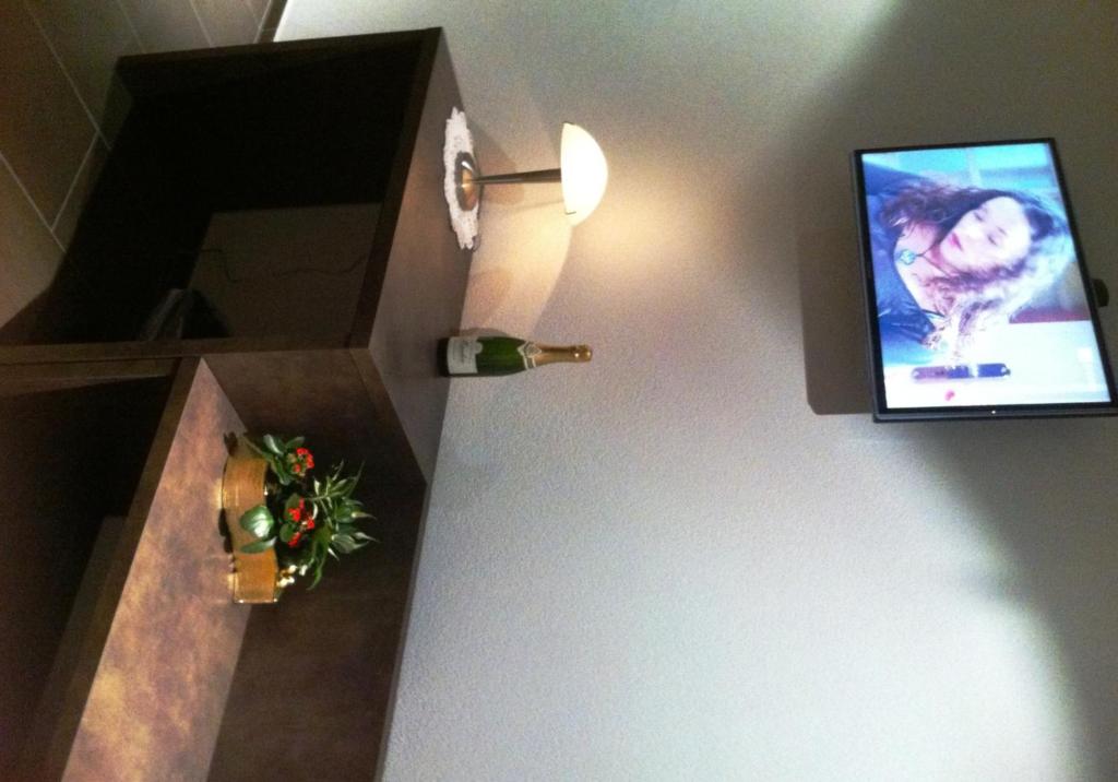 TV a/nebo společenská místnost v ubytování Hotel Restaurant Jura