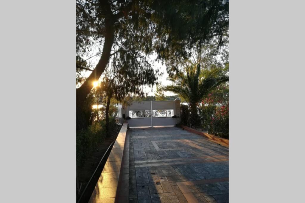 Fotografie z fotogalerie ubytování Pine tree beachfront villa v destinaci Dhrosiá