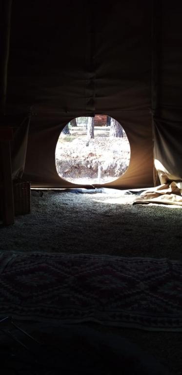 Fotografie z fotogalerie ubytování Otium Oasis Glamping & Camping v destinaci Hartebeest Rivier