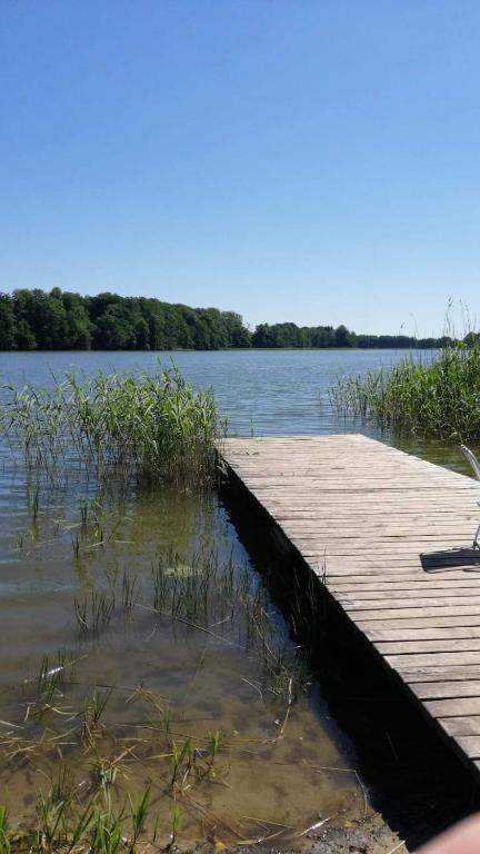 a dock on a body of water with grass at Domek nad jeziorem in Koszajny