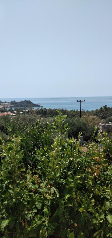 Raymondos Apartments - 12