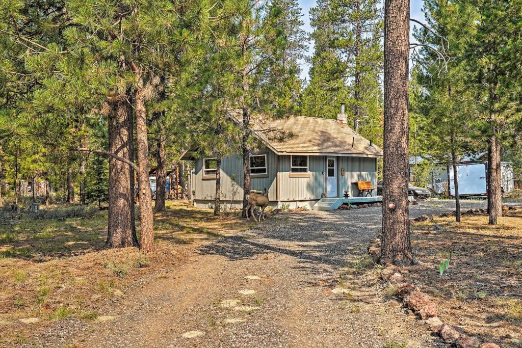 a house in the woods with a dog standing in front of it at High Lakes Hideaway La Pine Fishing Cabin! in La Pine