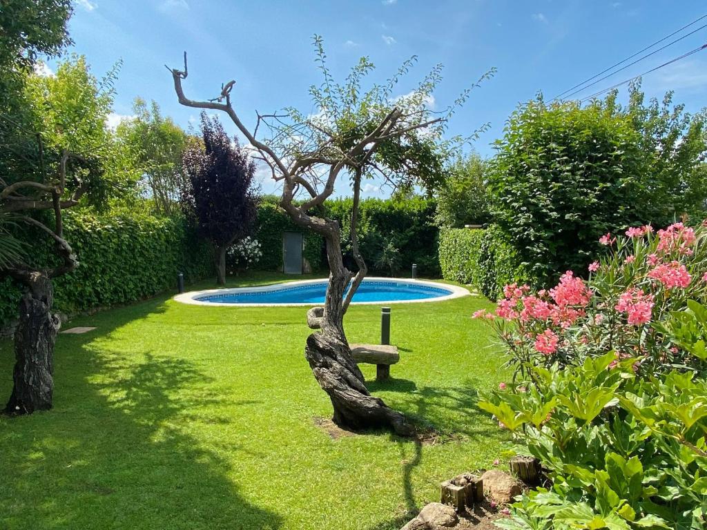 a garden with a tree and a swimming pool at Villa Magnolia (Vidreres) - Ideal para vacaciones en familia in Vidreres