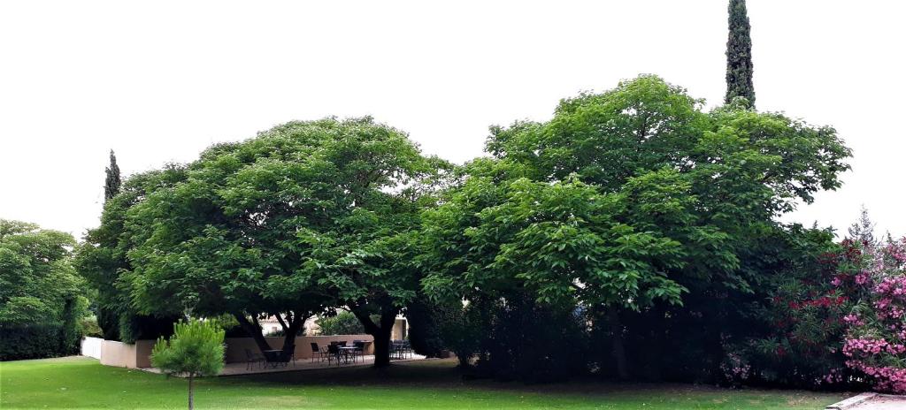 a group of trees in a yard with flowers at Le Mas des Vergers in Salon-de-Provence