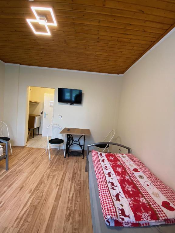 TV a/nebo společenská místnost v ubytování Hostel