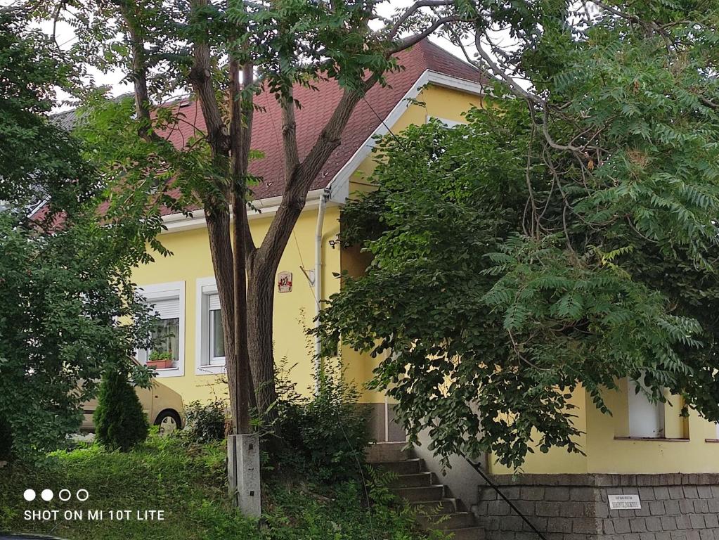 Zahrada ubytování Szitakötő Apartman