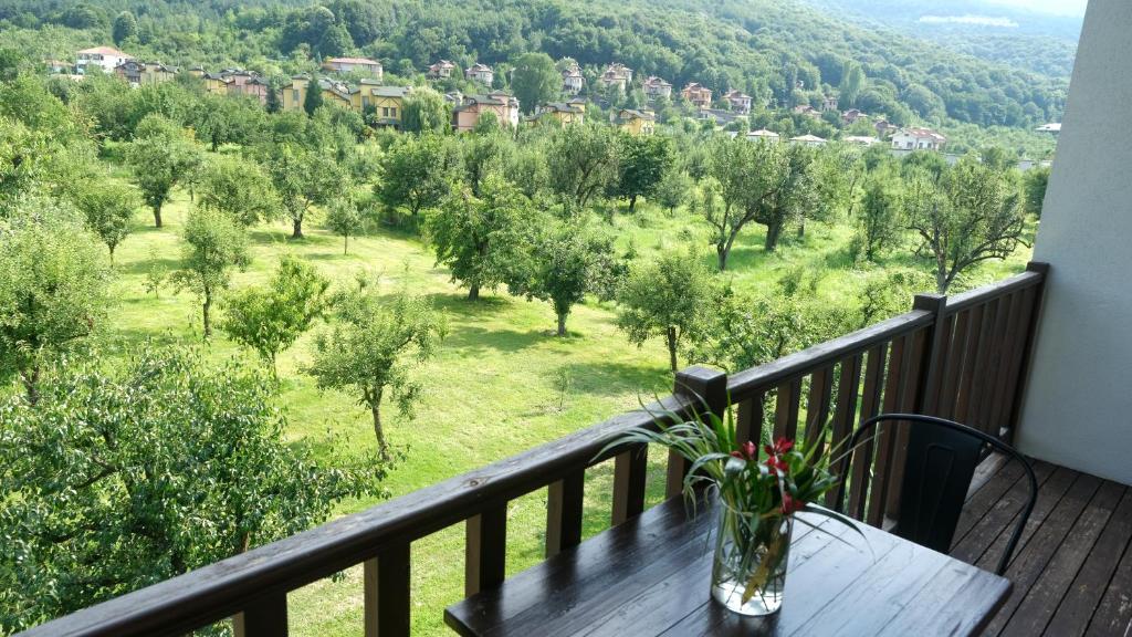 Příroda nedaleko hotelu
